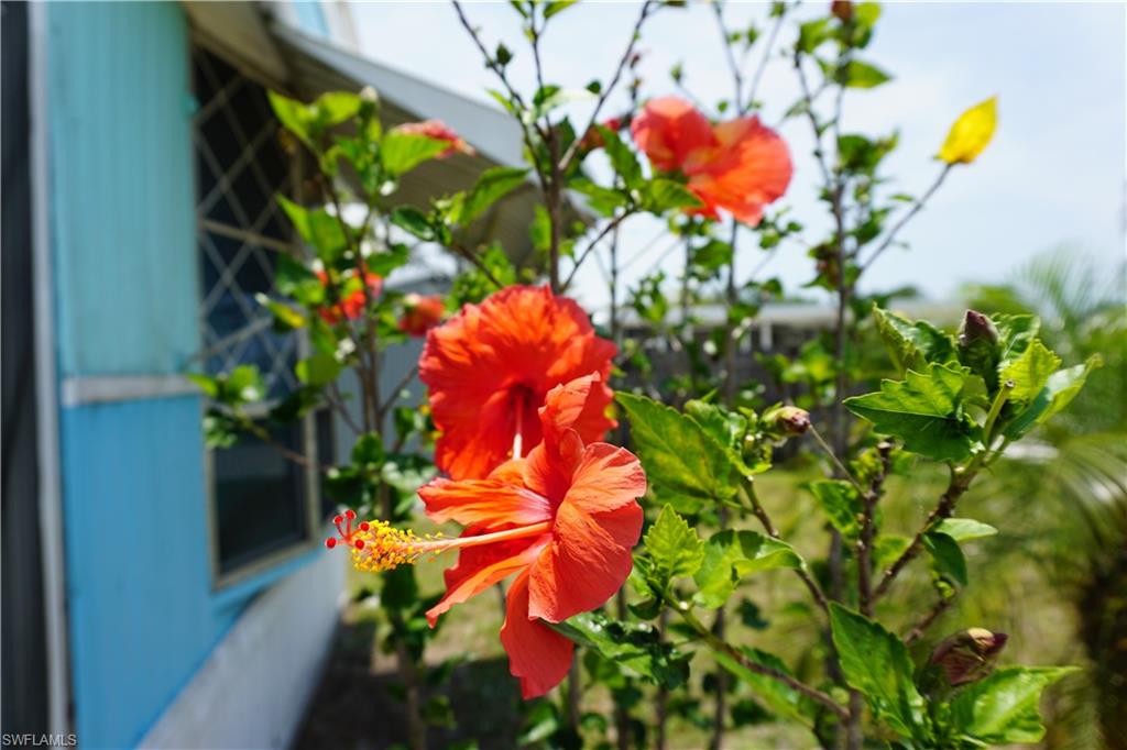 PUNTA GORDA - Residential