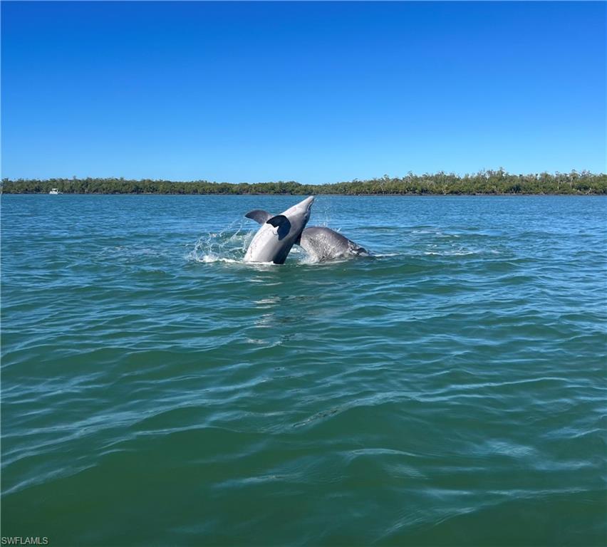 ISLES OF CAPRI - Residential