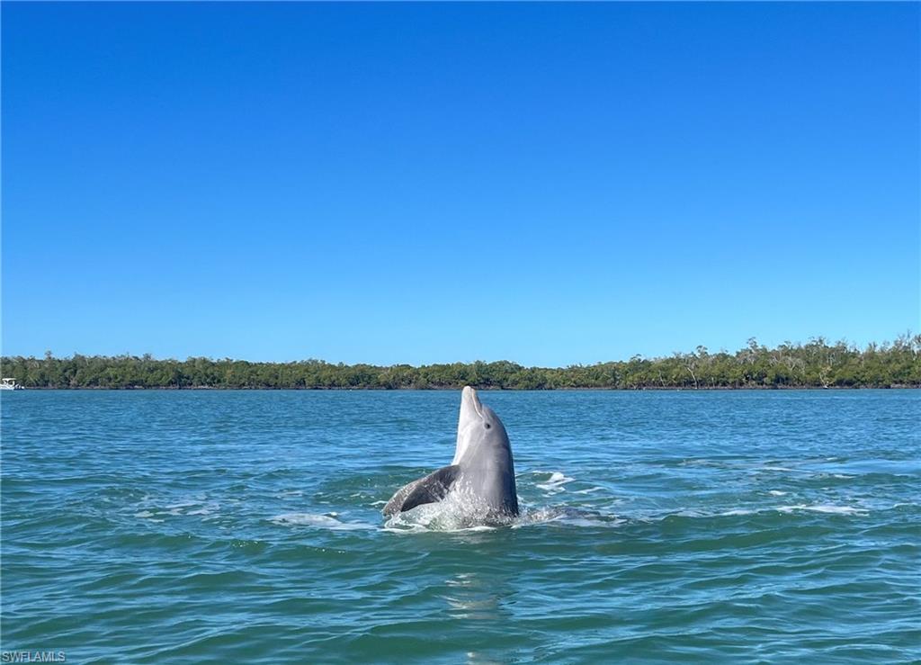 ISLES OF CAPRI - Residential