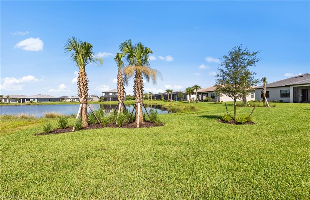 AVALON PARK - Residential