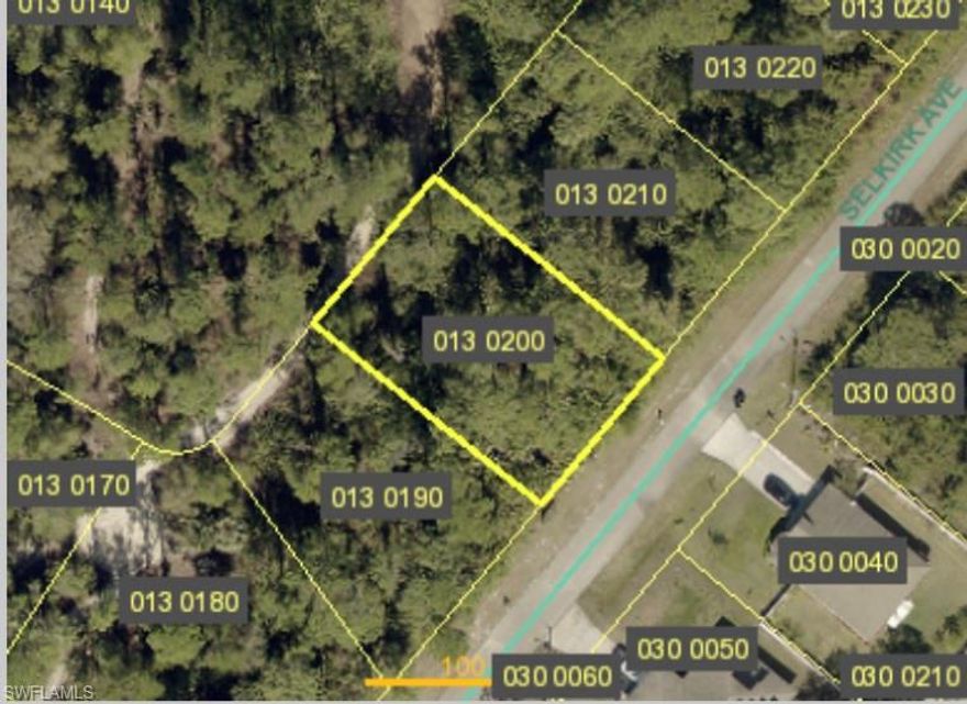 Build your dream home on this beautiful lot or hold for future. No HOA, deed restrictions, or flood zone. Located close to shopping, restaurants, shopping centers, and schools. Quick access to Fort Myers, and RSW / SWFL International Airport.
