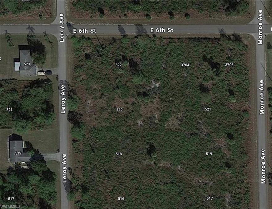Build Your Dream Home in Lehigh Acres! This spacious vacant half an acre lot is ready for you to build your custom single-family home in the
growing community of Lehigh Acres! Enjoy peaceful surroundings, affordable living, and easy access to Fort Myers while being close to shopping,
dining, parks, and top-rated schools. With plenty of new development in the area, this is the perfect opportunity to invest in Florida living! Don’t miss out—secure your piece of paradise today! SELLER FINANCING AVAILABLE!! The buyer’s agent or broker is required to be present at all
showings, meetings, inspections, and appointments. Unaccompanied buyers will not be permitted access to the property