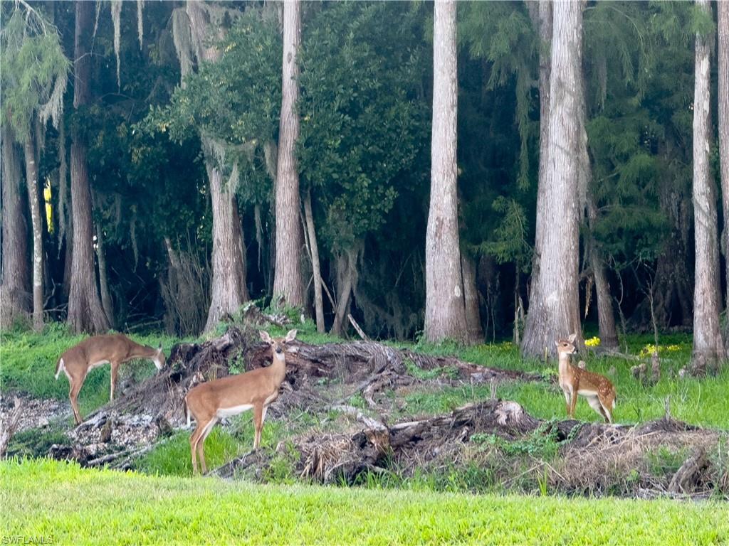 THE NATIONAL GOLF & COUNTRY CLUB AT AVE MARIA - Residential