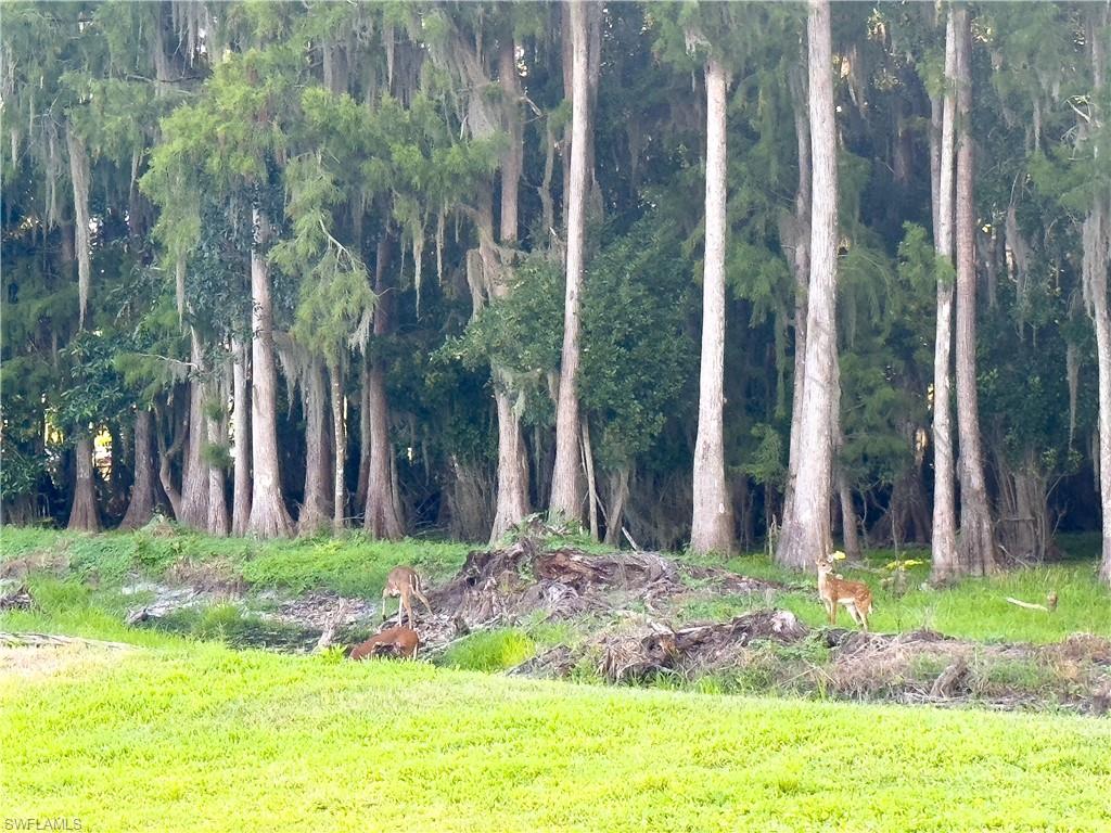 THE NATIONAL GOLF & COUNTRY CLUB AT AVE MARIA - Residential