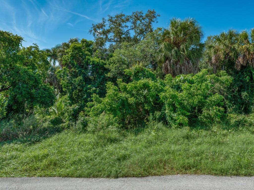 MARCO ISLAND - Land