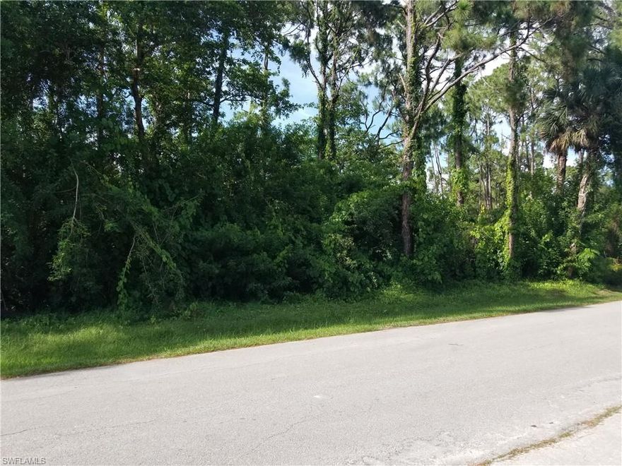 Looking for 0.5 acre of land in town to build your large home? This is the one of a kind and rarely available 1 acre residential lot ready to build. excellent location, in town on 3.1 miles to down town Naples and less then 2 miles to Bayshore Art district. Survey available, dry lot.