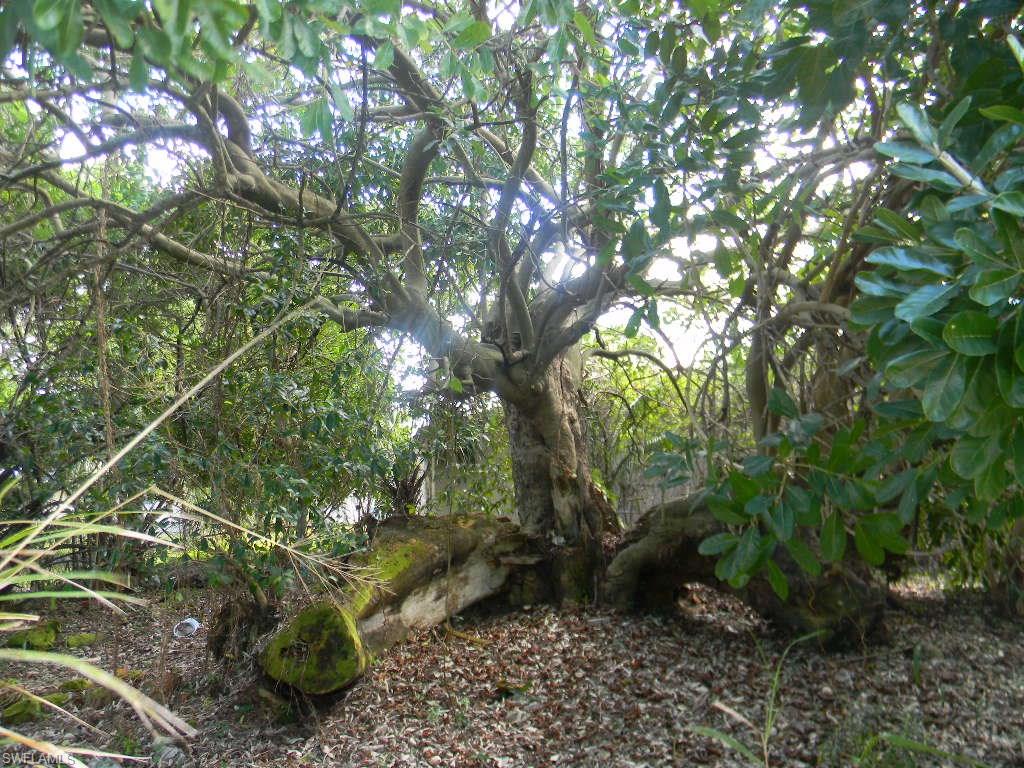 TICE HEIGHTS - Residential