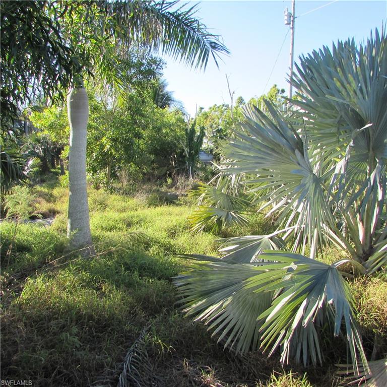 10011 Stringfellow RD