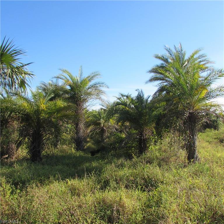 10011 Stringfellow RD