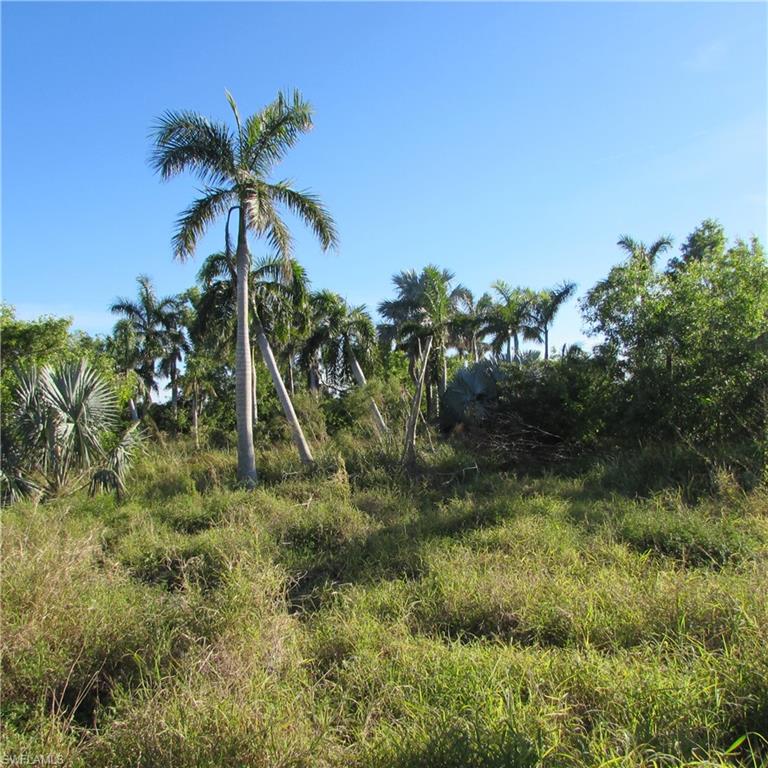 10011 Stringfellow RD