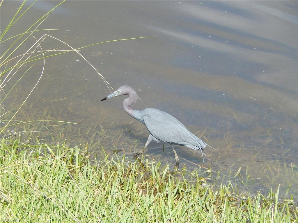 BRIDGEWAY - Residential