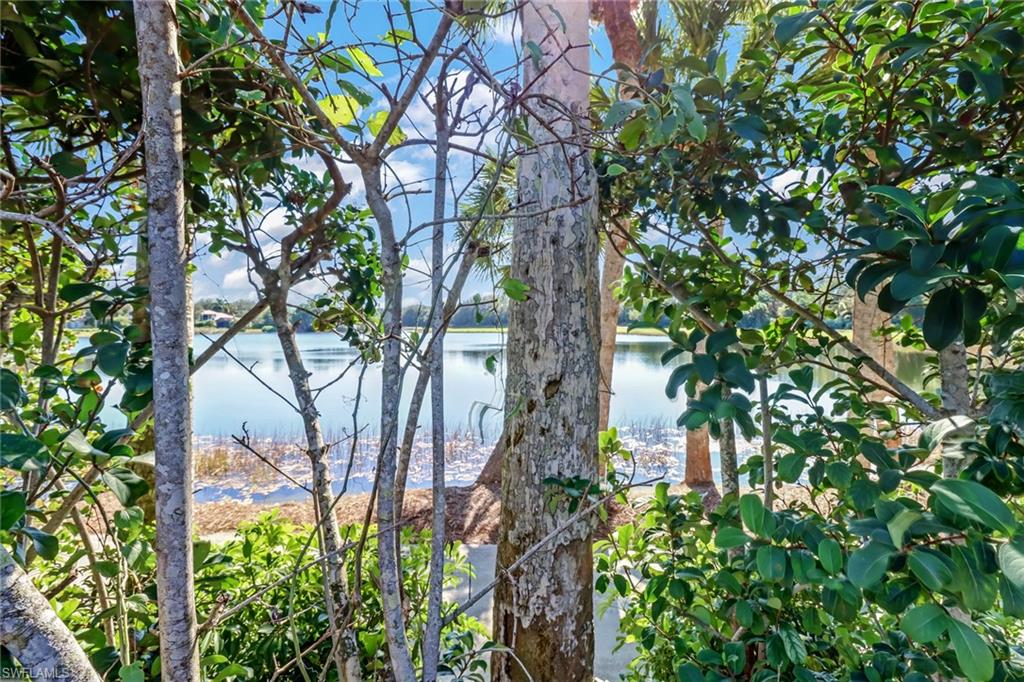 PALM RIVER SHORES - Residential