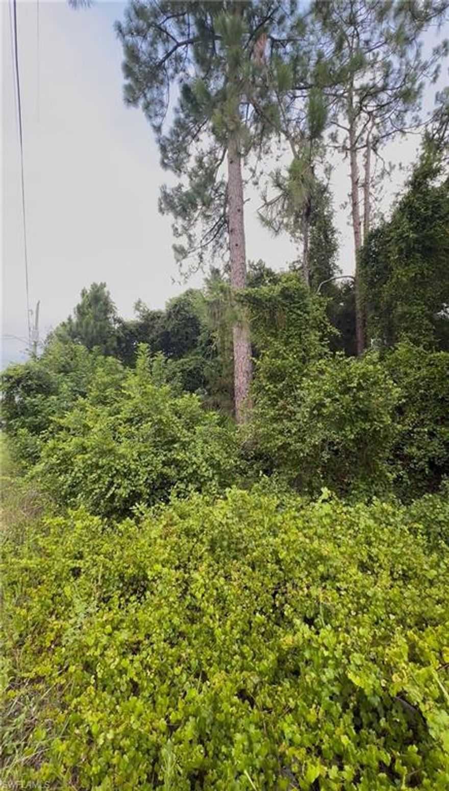 Exceptional RM-2 (Multifamily Residential) duplex lot on a clean, well-kept street in Lehigh Acres. Surrounded by newer homes, this property offers an excellent setting for your next build. The lot features a favorable elevation and comes with brand-new surveys and building stakes already on site, included in the price. A power pole is located next to the lot, providing convenient access to electricity. Drive by the lot to see how attractive the street is! Seller has other lots duplex lots available