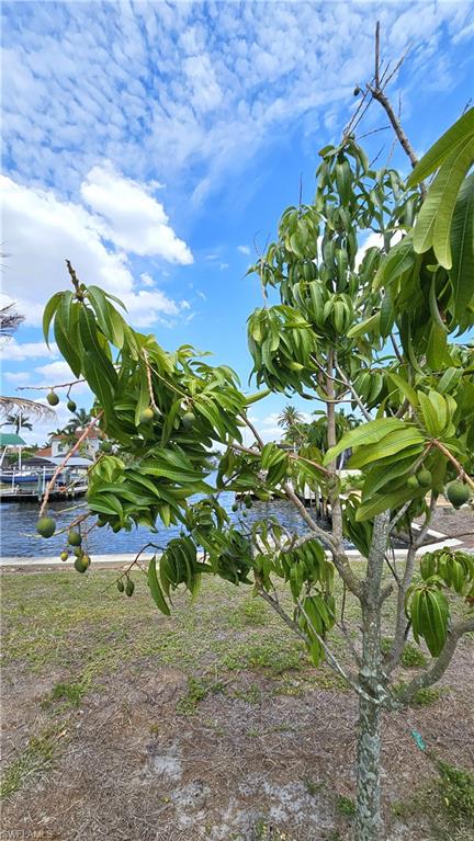 CAPE CORAL - Land