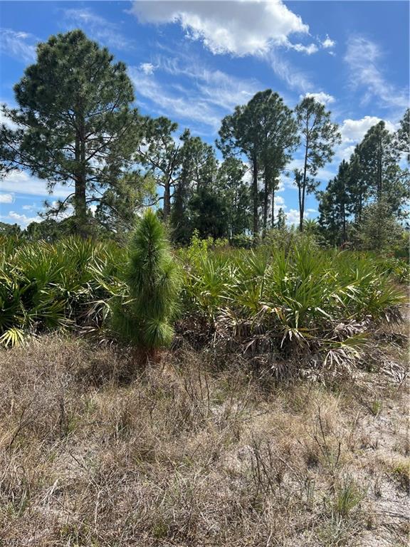 WHEELERS SUBD - Land