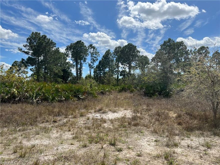 Located in East Lehigh Acres in Hendry County on a dead-end street in Wheeler’s Subdivision! A great home site for those who do not want to be in the city and love being in the country. This home site is approximately 165’ wide on 15TH PL by 330’ deep for a lovely and spacious 1.25-acre tract! There is plenty of room for your own safe haven and the fun “extras” such as a pole barn, pool, toys, garden, etc. This location is close to shopping, dining, and transportation! The property’s location is so peaceful and quiet, with friendly neighbors. On 15TH PL, there are only two houses, one is under construction, and another is completed with a family living there and enjoying their home. A septic tank and well will be required to build. The home site is close to State Road 80 and downtown Fort Myers. No Deed Restrictions! This property needs some bush hogging but features some lovely trees—a beautiful place to build your dream house or invest.