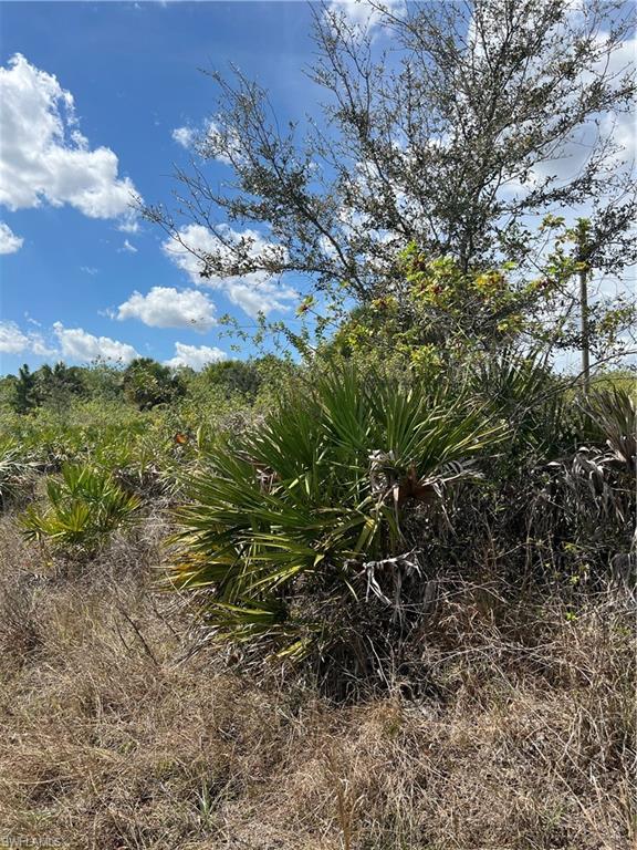 WHEELERS SUBD - Land