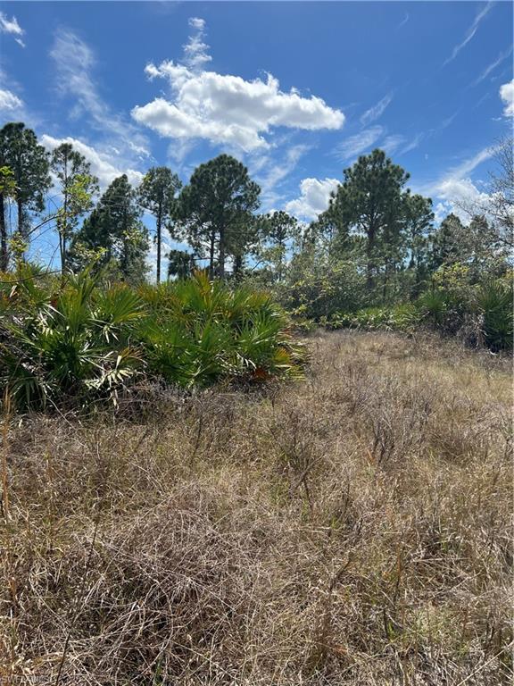 WHEELERS SUBD - Land