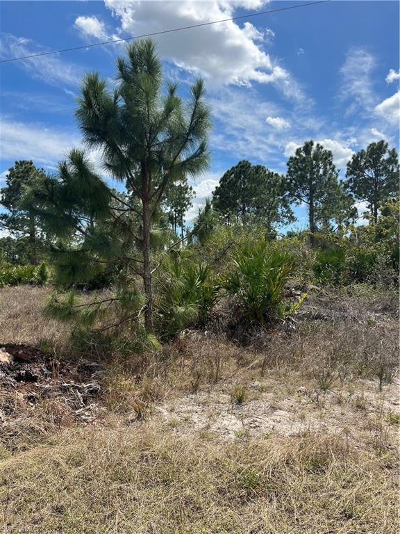 WHEELERS SUBD - Land