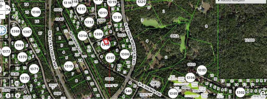 CITRUS SPRINGS - Land