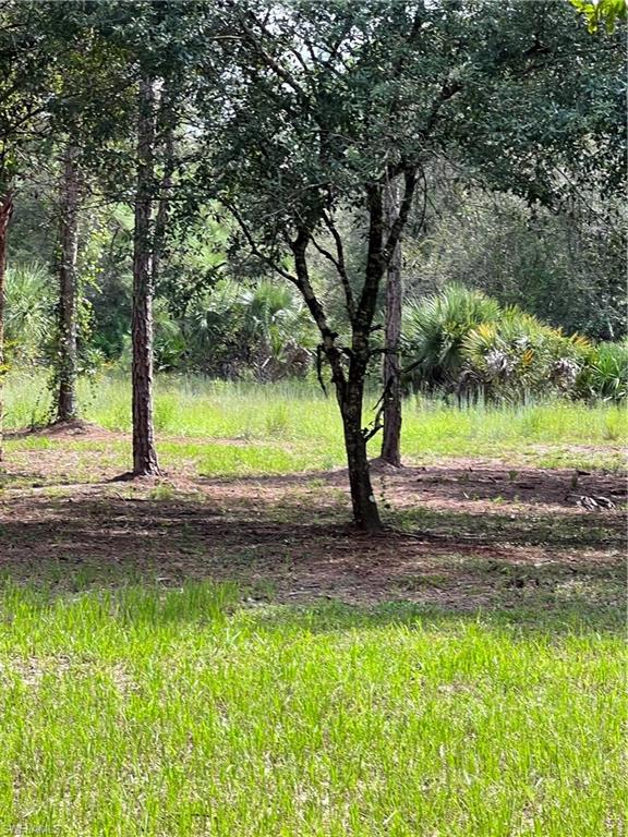 MONTURA RANCH ESTATES - Land