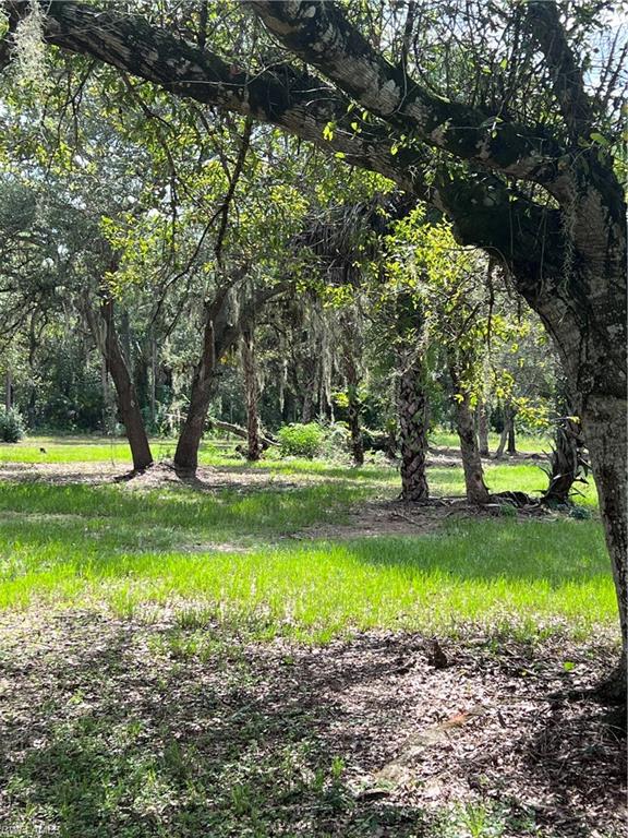 MONTURA RANCH ESTATES - Land