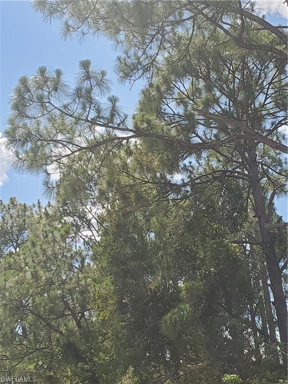 GOLDEN GATE ESTATES - Land