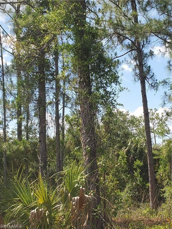 GOLDEN GATE ESTATES - Land