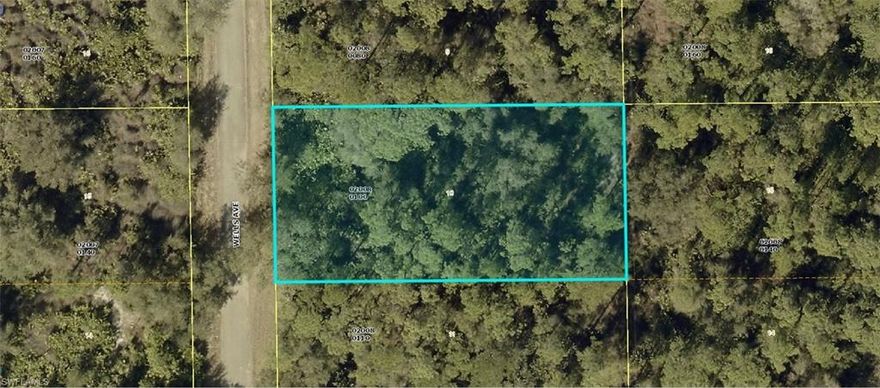 Create the lifestyle you’ve been dreaming of on this 0.5-acre homesite in Alva, Florida. Surrounded by natural Florida landscape and mature trees, this property offers a peaceful setting with plenty of space to build your custom home and enjoy the privacy of country living. With no HOA, no deed restrictions, and not located in a flood zone, you have the freedom to design the home and outdoor lifestyle you’ve always wanted. Whether you’re planning to build now or invest for the future, this property presents an excellent opportunity to own a piece of Florida’s growing market. Conveniently located within driving distance of Fort Myers, nearby Lehigh Acres, and close to the Caloosahatchee River for boating, fishing, and outdoor recreation.