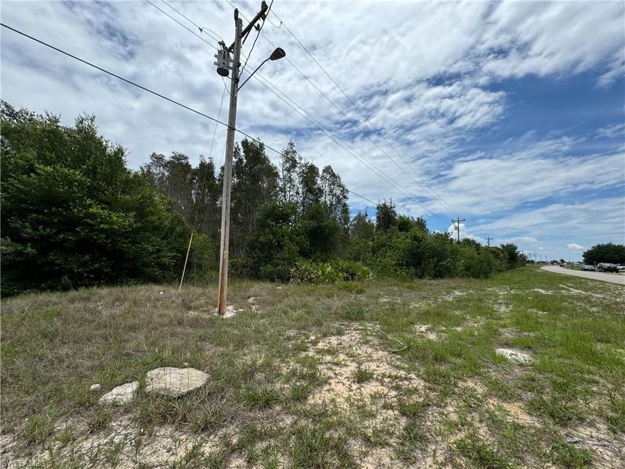 Peaceful living in the emerging area of Lehigh Acres! Build your dream home or invest for the future. Close to shopping and I-75. And can build a duplex.