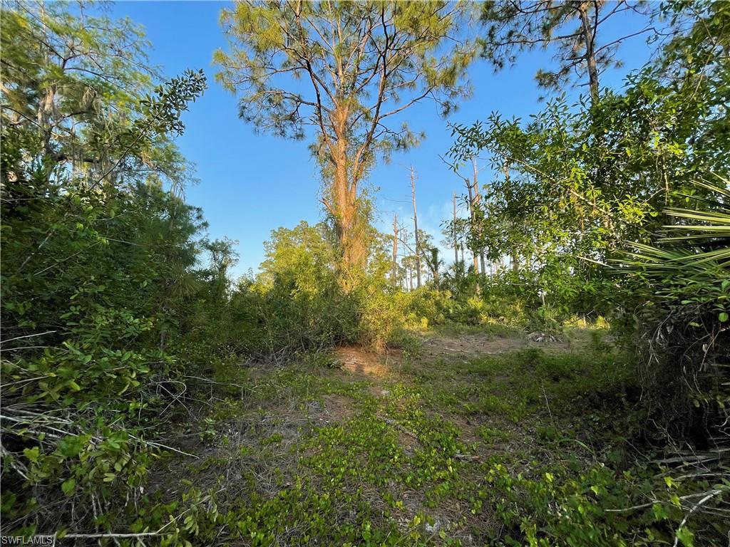 GOLDEN GATE ESTATES - Land