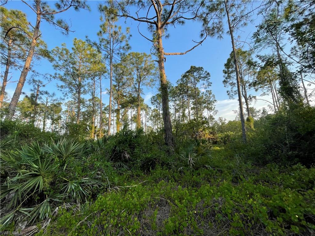 GOLDEN GATE ESTATES - Land