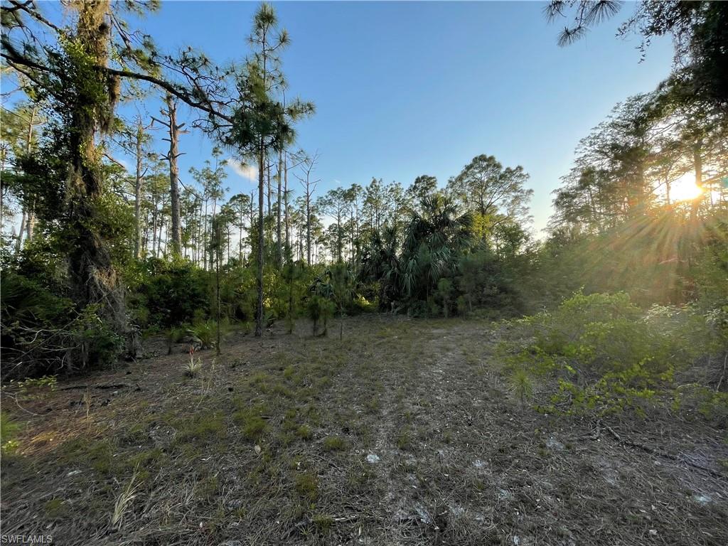 GOLDEN GATE ESTATES - Land