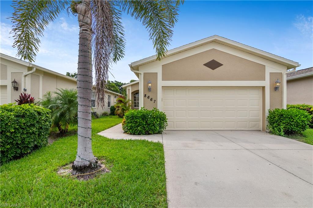 IBIS COVE - Residential