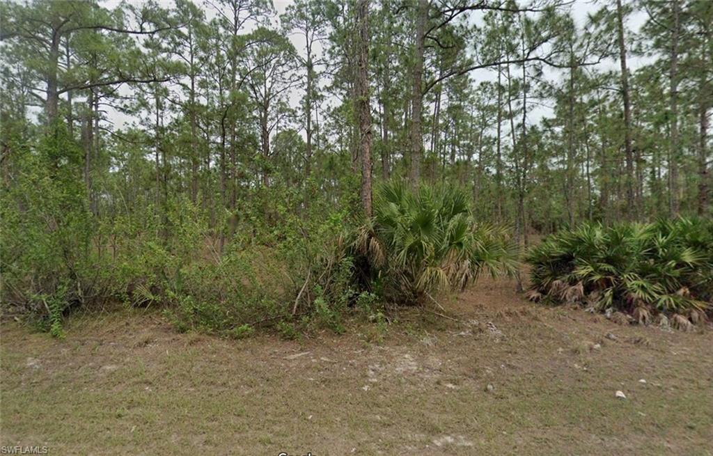 Listing image 1