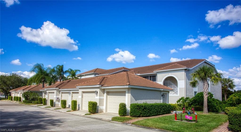 10528 Washingtonia Palm WAY 4726