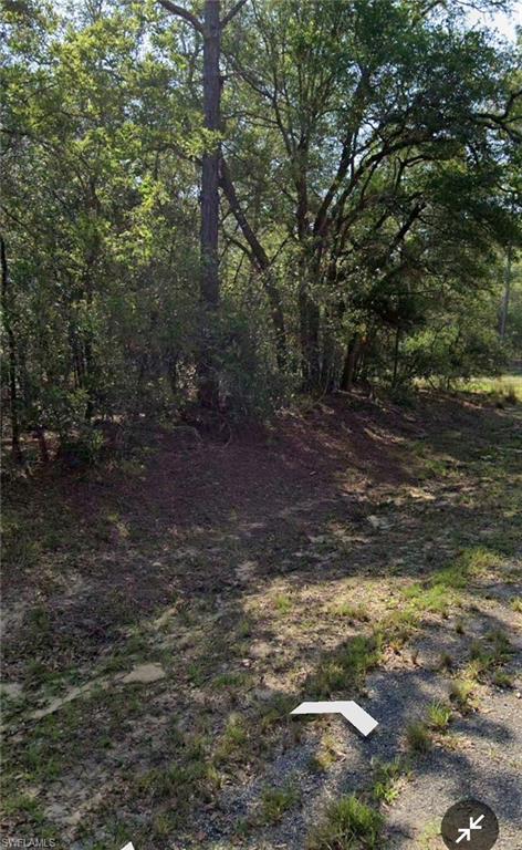 CITRUS SPRINGS - Land