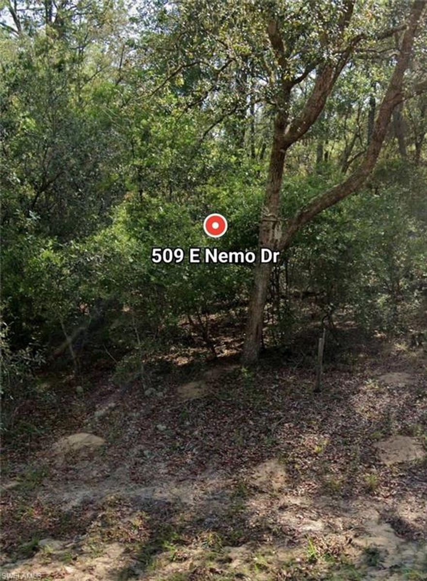 Location! Location! Location! This nearly 1/4 acre lot is situated minutes to Route 41, shopping, restaurants and multiple golf courses.  A short drive gets you to Crystal River, Homosassa Springs State Park or horse country in Ocala! Centrally located to get to any of the major theme parks in Orlando and Tampa!!  Having already been cleared once (about 10 years ago) the regrowth is newer and should be easier to clear again.  Also, this lot is located in Flood Zone X, which means that no flood insurance will be required.  Take advantage of this amazing property and secure your spot in Sunny Florida!