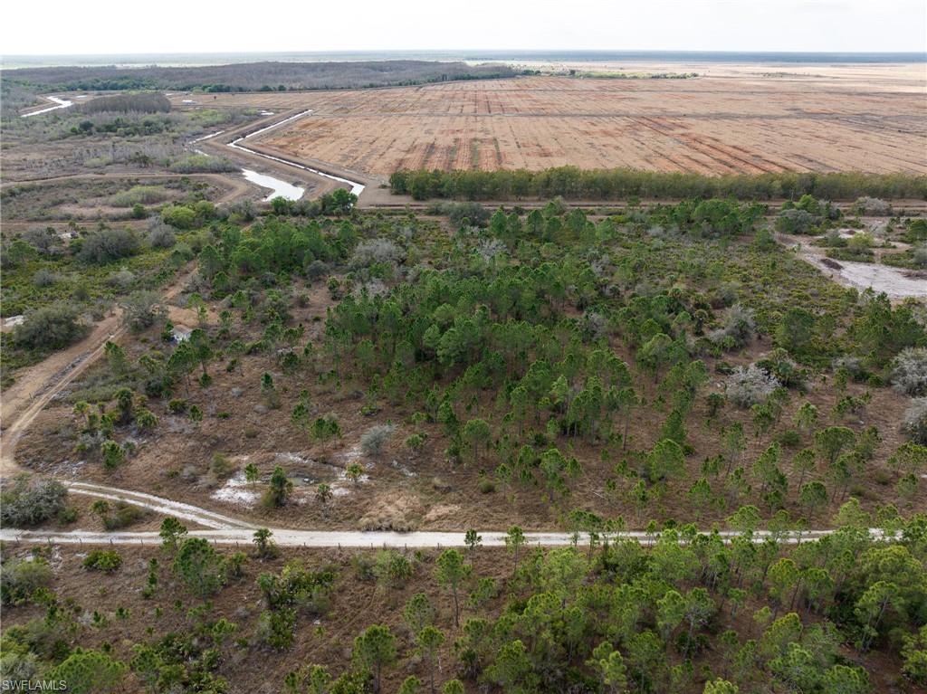 GOLDEN SHORES - Land