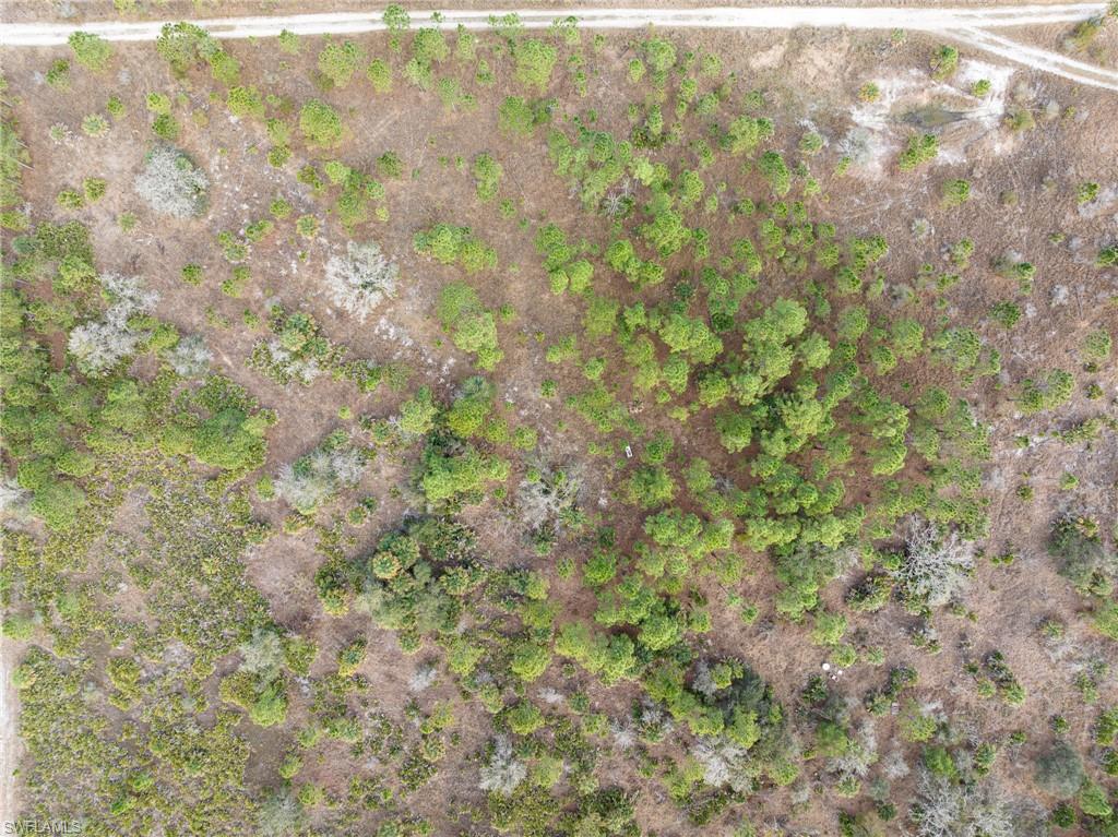 GOLDEN SHORES - Land