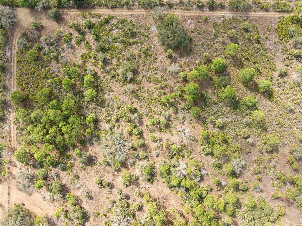 GOLDEN SHORES - Land