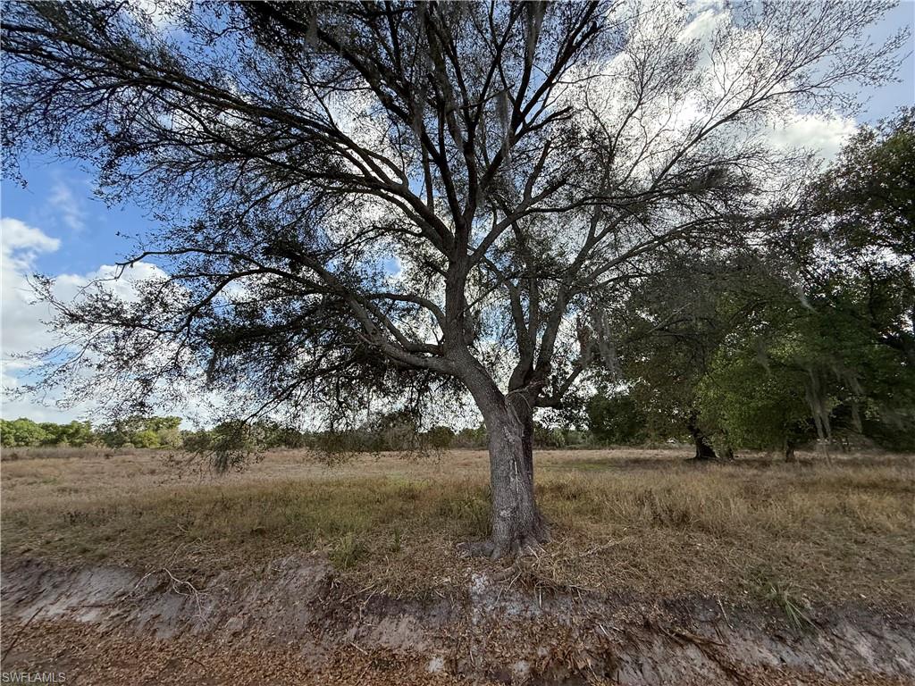 MONTURA RANCH ESTATES - Land