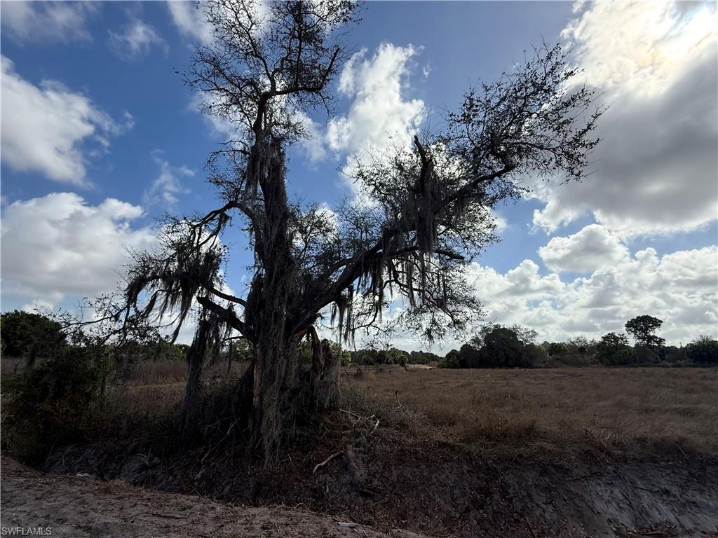 MONTURA RANCH ESTATES - Land