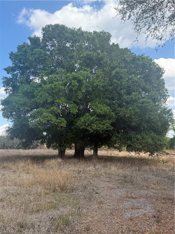 MONTURA RANCH ESTATES - Land