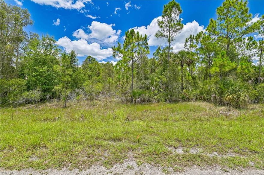 Beautiful lot in Lehigh Acres, perfect for your dream home. Conveniently located near I-75, Daniels PKWY, RSW airport, Shopping and more. Enjoy no HOA fees and no restrictions.