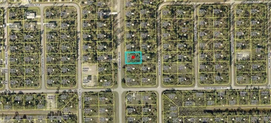 An exciting opportunity awaits in this growing area! Be part of a vibrant community where new construction is booming. This prime location puts you close to fantastic golf, shopping, and dining options. Enjoy the added perk of being a short drive from Fort Myers and Punta Gorda airports, two major spring training destinations, and sun-drenched beaches!