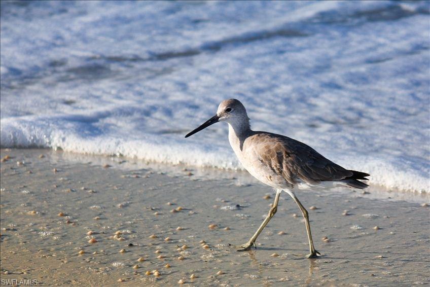 SANDPIPER GULF RESORT - Residential