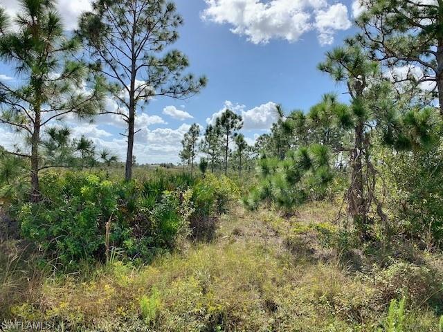 GOLDEN GATE ESTATES - Land