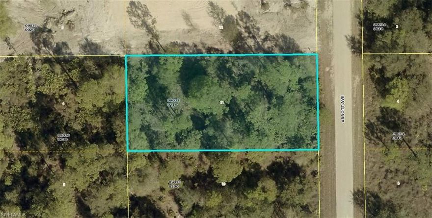 Large 1/2 acre Lot, surrounded by large homes, in fast growing Lehigh Acres, perfect for your dream Home or to hold as an investment.