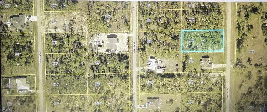 Take the excellent opportunity to have a half acre lot in Alva, Florida, minutes to Fort Myers and Punta Gorda, access paved road.  Don’t miss the chance to create your oasis quiet while staying close to shopping, dining, golf courses and the international airport! 
This is an area with new construction homes being built.Buy to build your dream home or take the advantage to do a good investment.